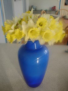 July 2009 Photos 003